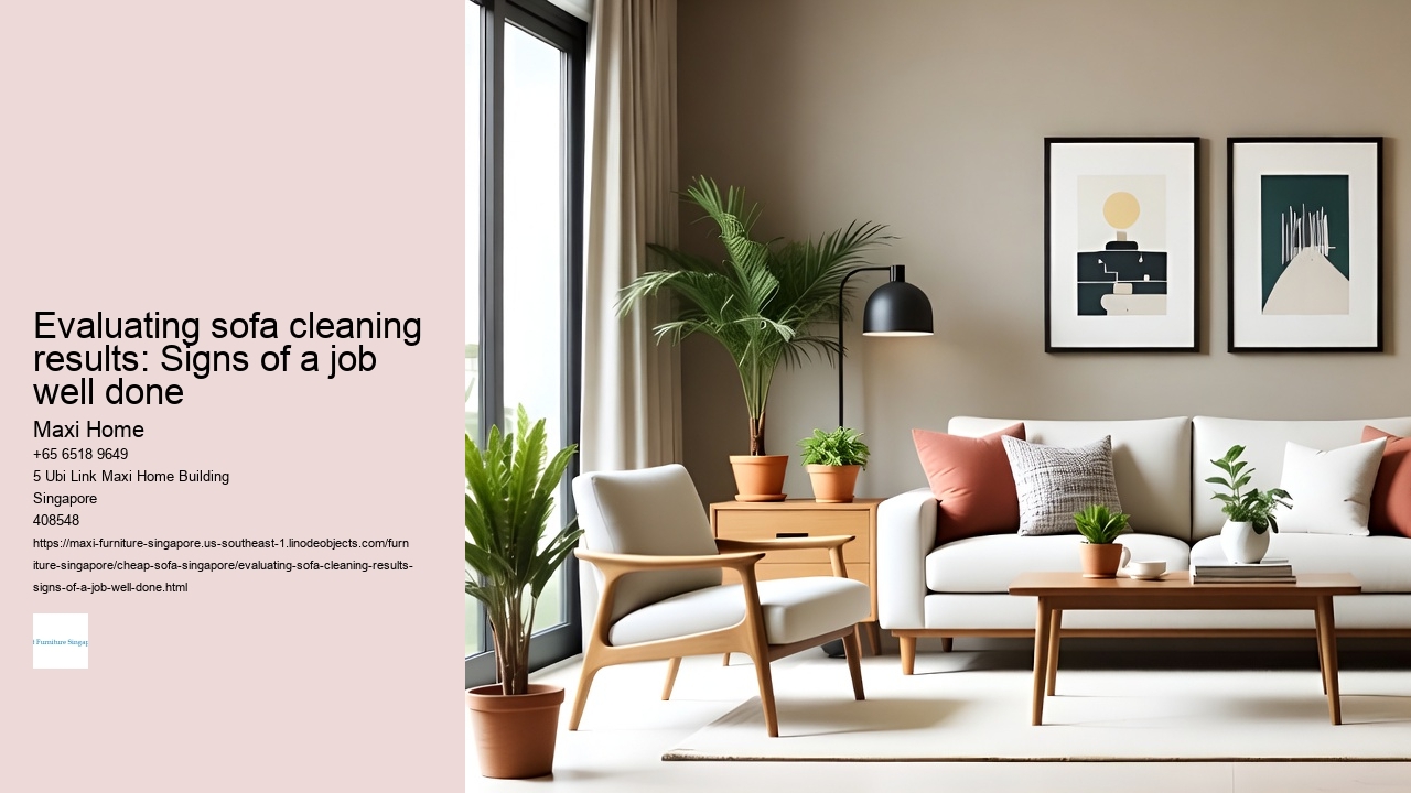 Evaluating sofa cleaning results: Signs of a job well done