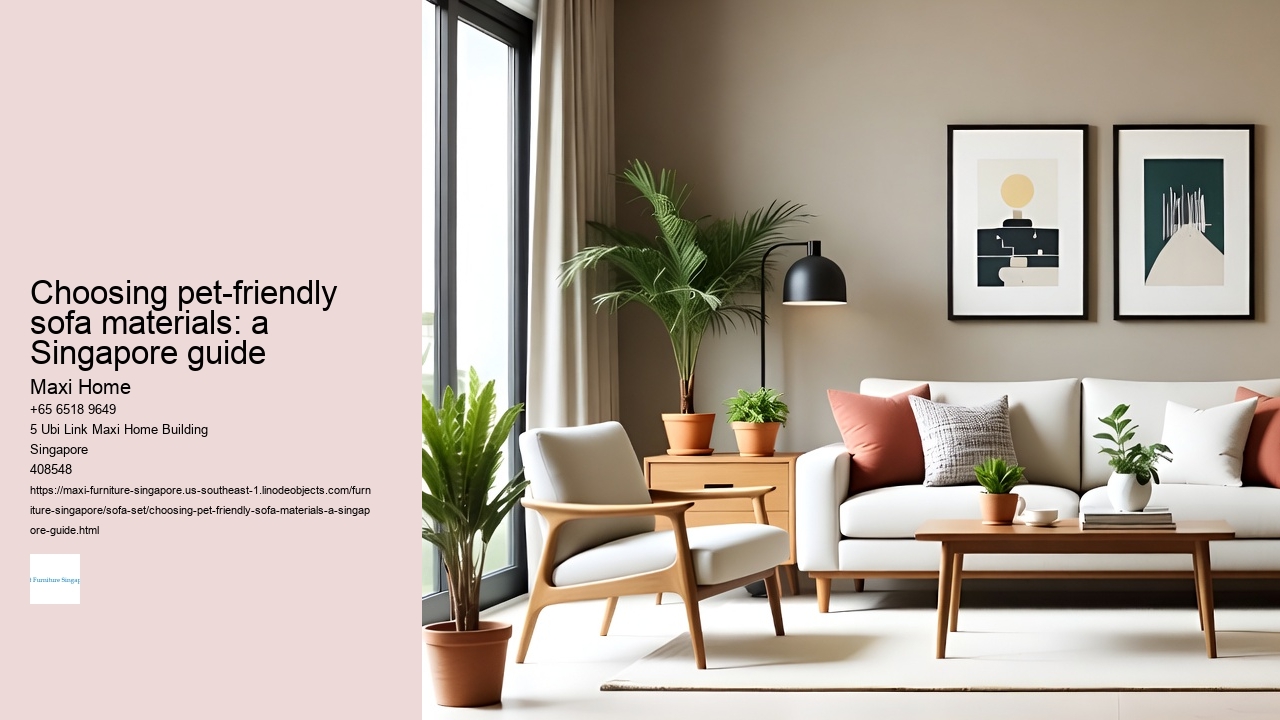 Choosing pet-friendly sofa materials: a Singapore guide