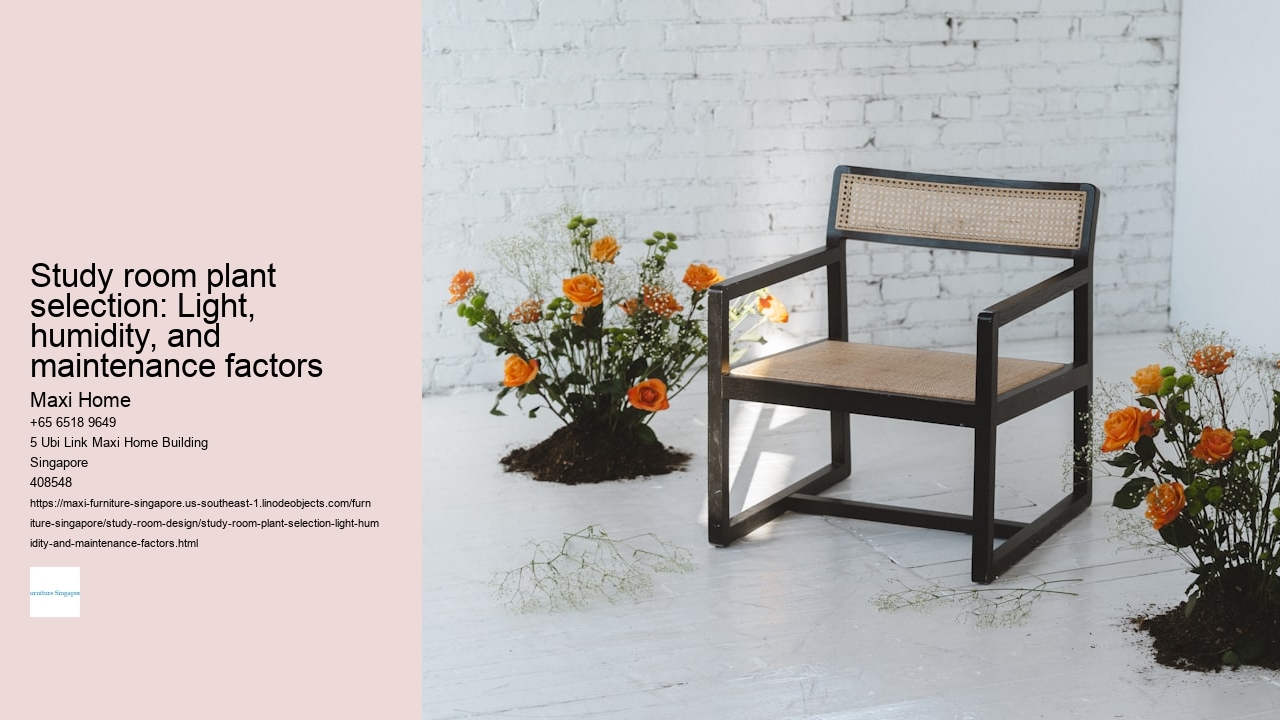 Study room plant selection: Light, humidity, and maintenance factors