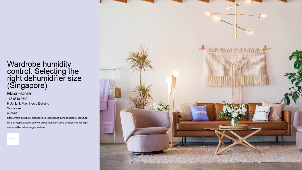 Wardrobe humidity control: Selecting the right dehumidifier size (Singapore)