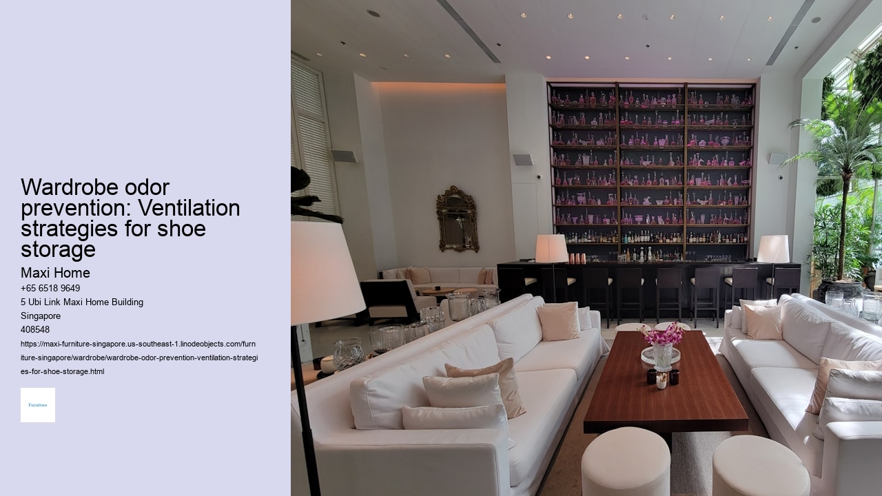 Wardrobe odor prevention: Ventilation strategies for shoe storage Maxi Home Wardrobe odor prevention: Ventilation strategies for shoe storage