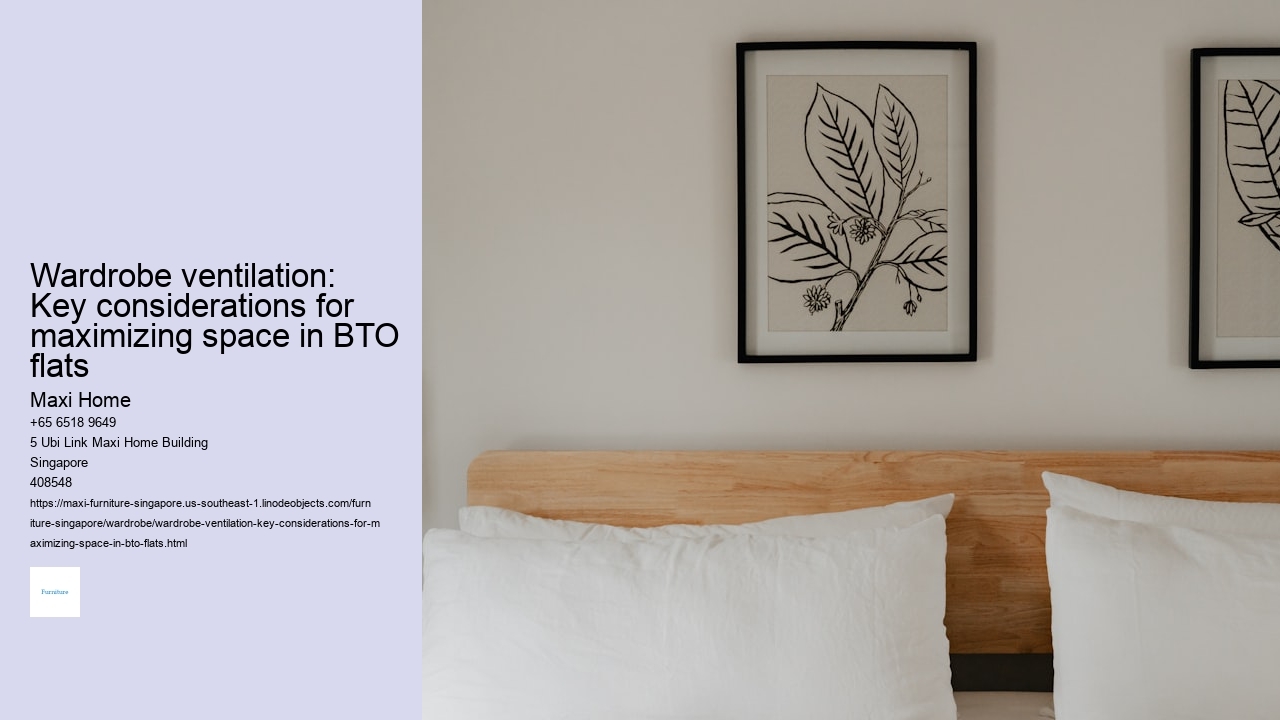 Wardrobe ventilation: Key considerations for maximizing space in BTO flats